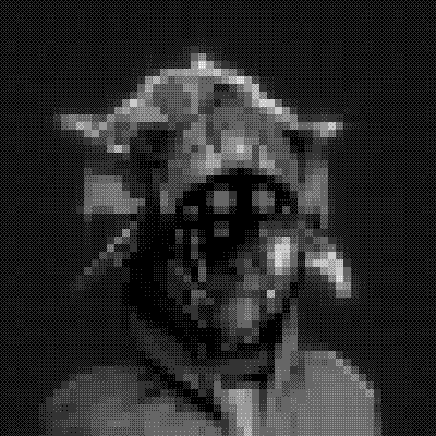 inscription 050780c50e29c983f34bb78c2c1f3fe5984f26c4f0980501c3225fa684004282i9