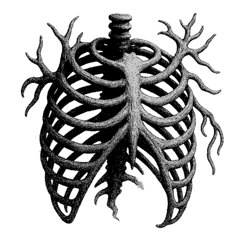 inscription 254017881cfff03b9bc35a2539949794e0e8bcddc2b7201b833dfc4eefb393b7i0