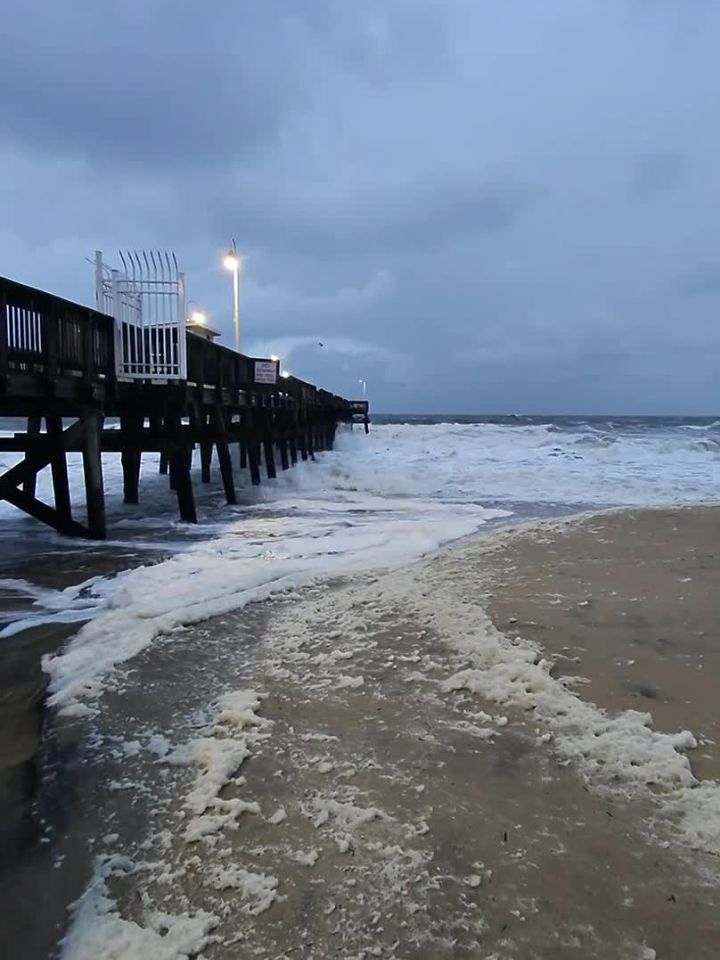 inscription 30e024f75ce165545248b134794cd18d0fb078a1c6c115685b2664aa58e0129bi0