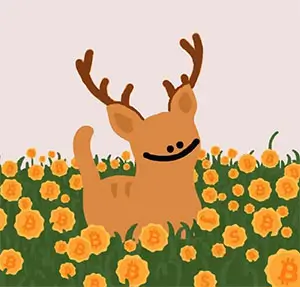 inscription 385a16f258b4fea7c83010bb4405d87f71fef25bceebd9def26e821b84f1c92ei0