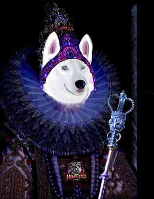 inscription 4383de1d93501eada7b3be066e204bc5ac3d757e6f7707a49000d03ee2d3355ai0