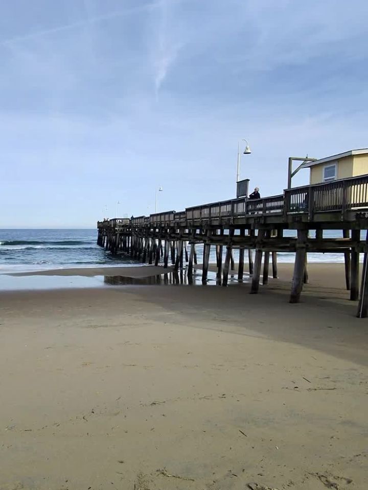 inscription 477d1ea80fd9d8595e36ded5c611a341cc4942f773e244c68e58bf494cbba1bfi0