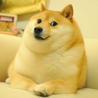 inscription 498471b4775e5e16ca41698aea7e410ea05c5240f52d8c7ae3c678ccab60d534i0