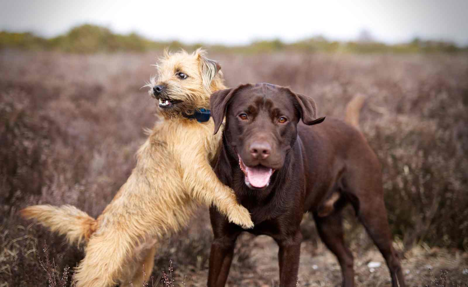 inscription 5ca9ffc216baabf625ba7e19be5091f331cf4f33d99a2aa946589ac7a1b11ee0i0