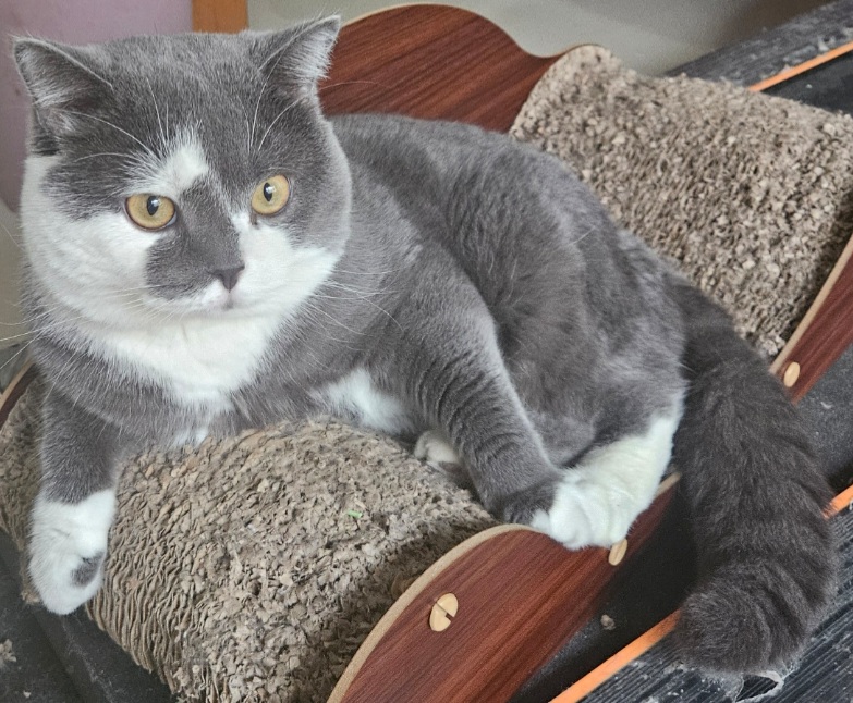 inscription 60d03489d1f5cf0cdf1ccaa9f14f556af5cd98a7feb814d71cc5e26e2af12102i0