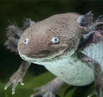 inscription 69423d6a515179ae2f681888abf481d6440e457946e92b6ff96886da77c43f40i0