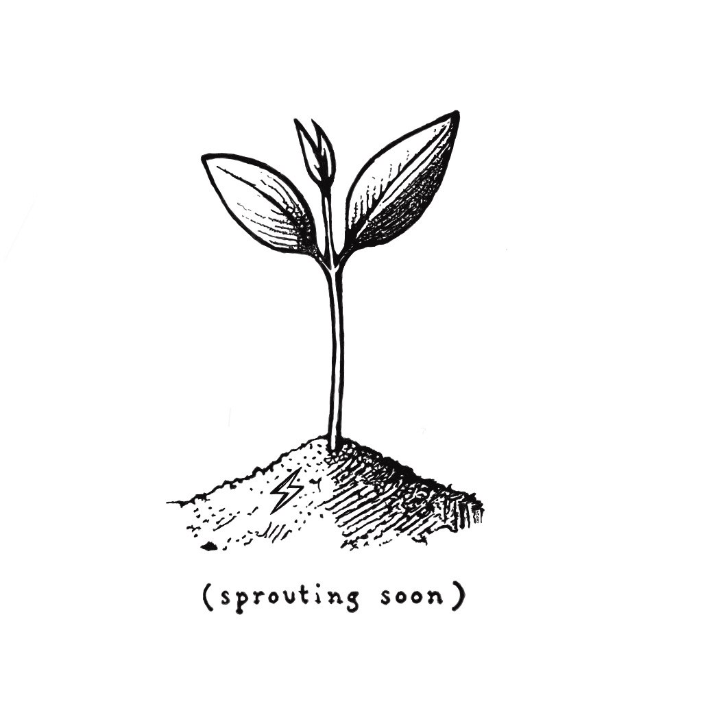 inscription a0969ab30af77d4b194527a5e1cf9459141fcf6355f93faf1bc21f94c23827c2i217