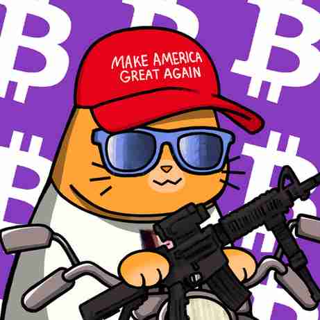 inscription b06b27c7a6b95db201a43f2028b7cae1dec273bf351e95ca62a553f04e8d8dd7i0