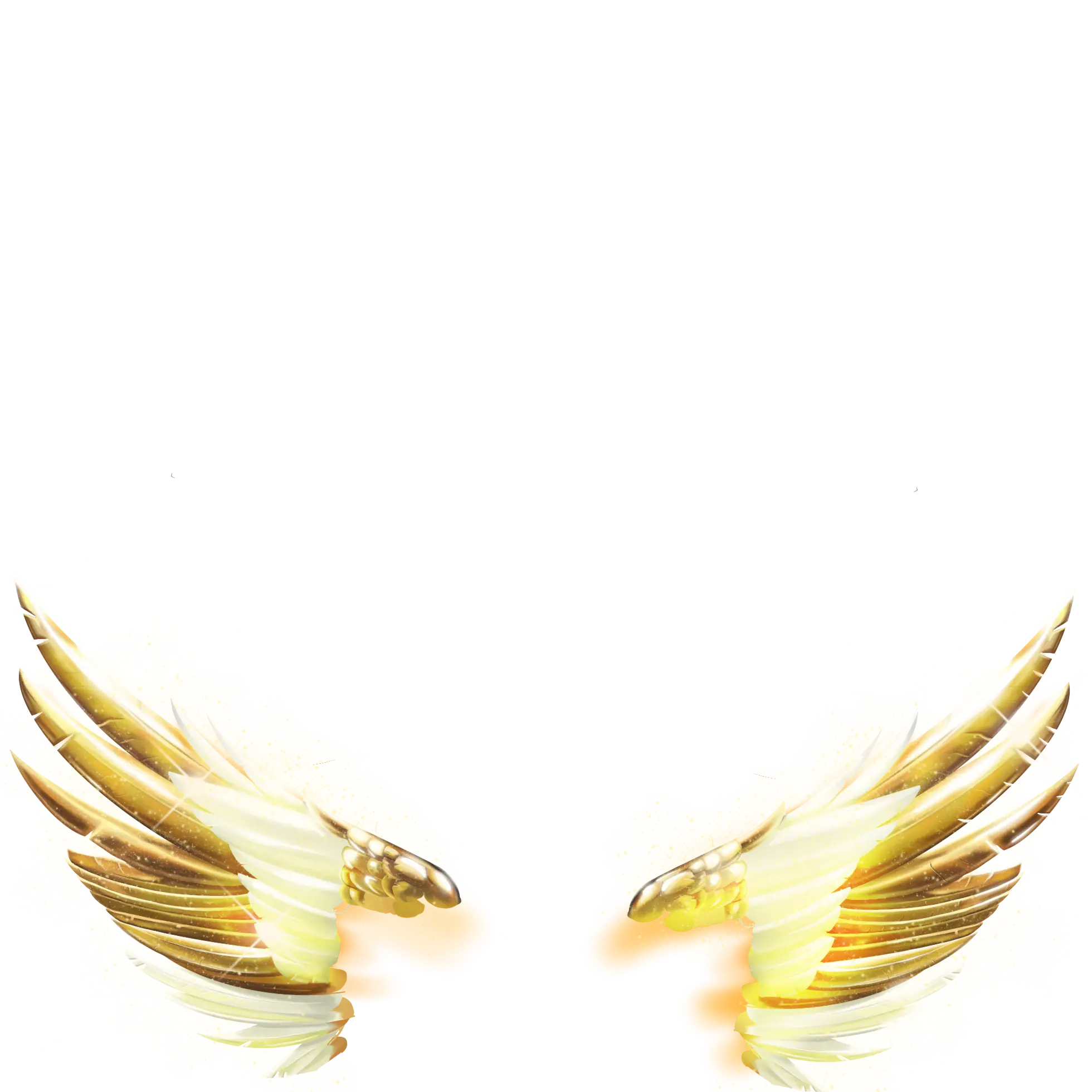 inscription b547339c200a9494f6395a168f9b0aa337ca0d7ed23e8dfda4250ace517edf6di0