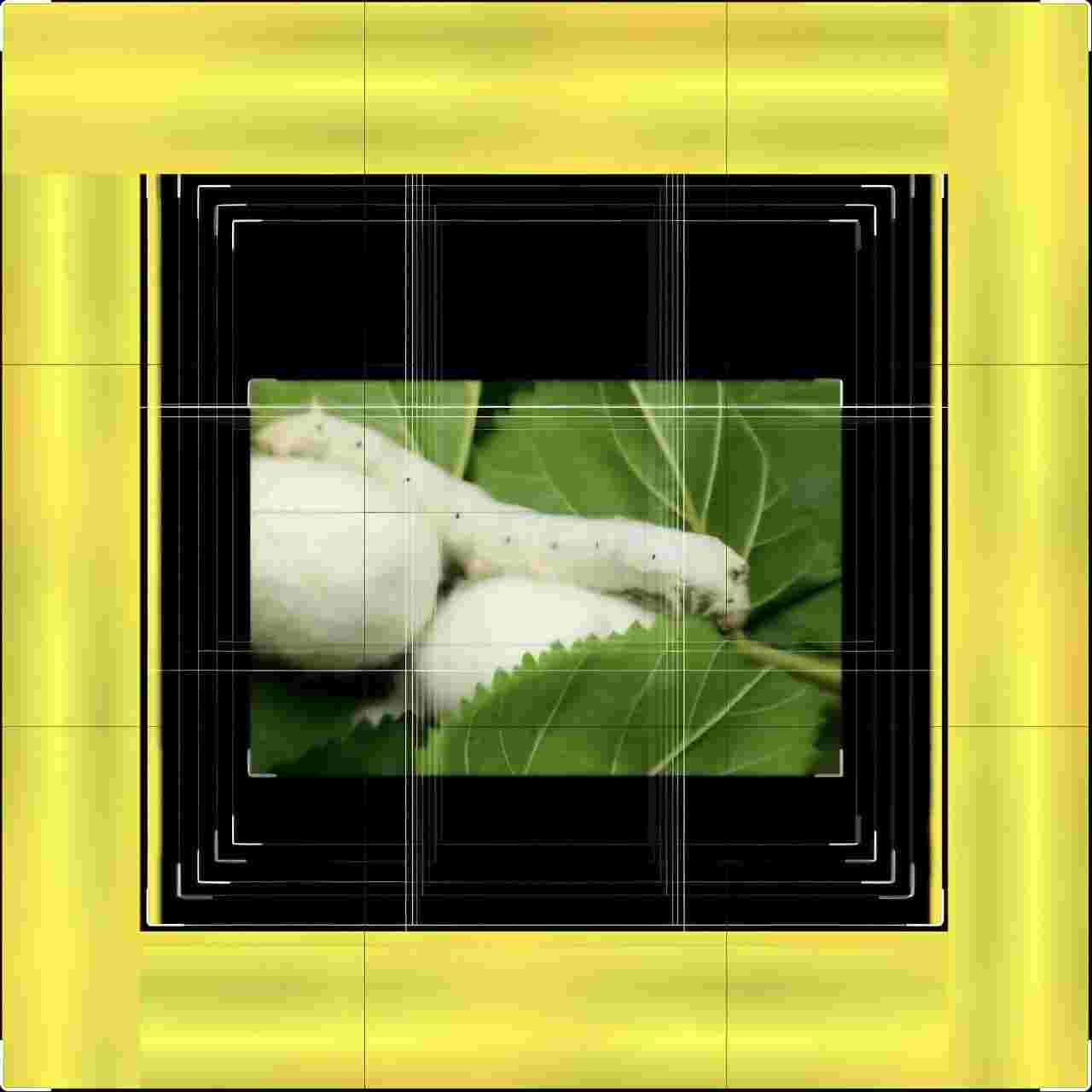 inscription bee772205df84341e9a62f906215bbe25f26f4d590495c0ead2871d882d1d282i0