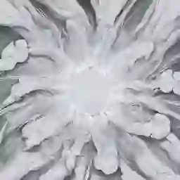 inscription cbc771d09e82e9b415a7be6a5c680747949766c0ebe986e13b44a63d1a3c5246i0