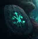 inscription d51fa7229a65dfd6c1d3e855b435f409900a17b4dc6ddaece01bc5dc837c715ei0