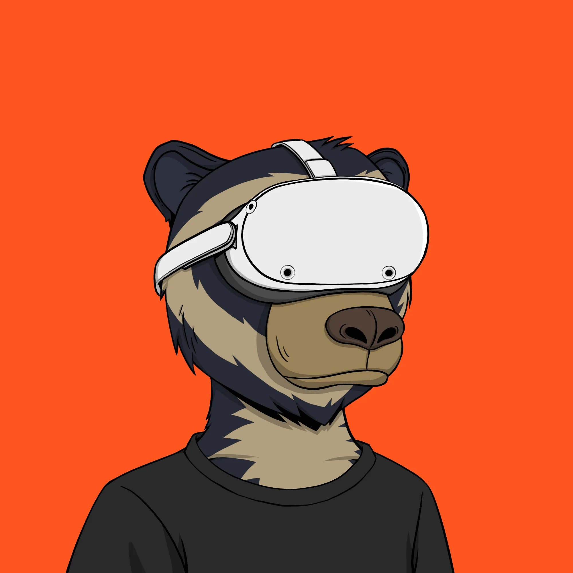 inscription db765aeaa21180a7a5dfd63fa2fa2a444478cd1a0401cd8ebe3a5dd87bf800fci0