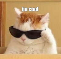 inscription e97a1269af494cec9388b247e9661cb1a95cffe02a5cfd20c7f2032dda698f54i0